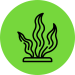 Icon representing functional algae protein for food and feed applications.