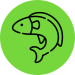 Icon representing sustainable aquafeed solutions for the aquaculture industry.